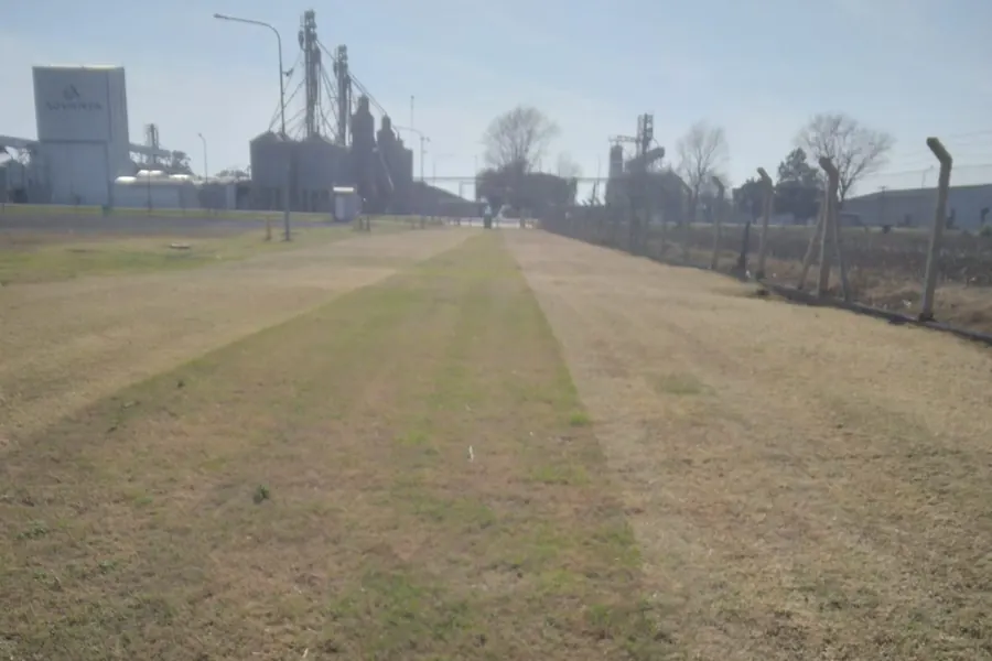 Franja de terreno cortada junto al alambrado perimetral de una planta de silos.