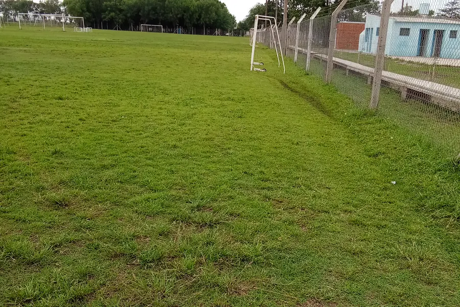 Cancha de fútbol con el césped cortado de forma pareja hasta el alambrado.